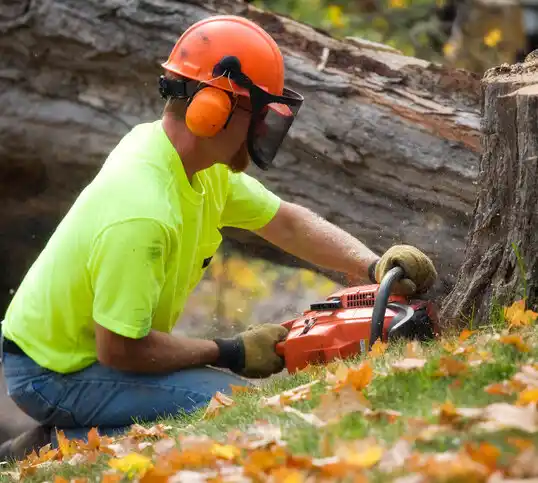 tree services Grayson